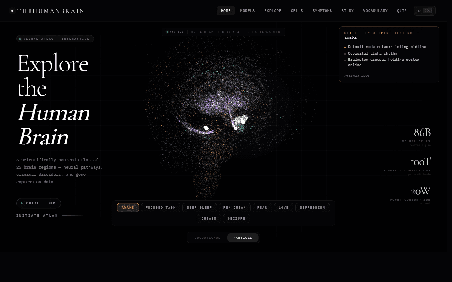 The Human Brain — Interactive Neural Atlas cover